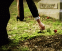 tenor (2).gif