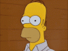 tJniHU3bJgiFmJSDIr8Id5Tzx04=.gif